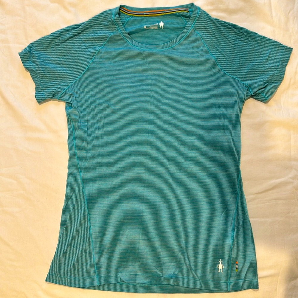 Smartwool Shortsleeve Striped Tee Shirt Womens Medium